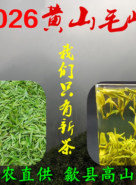 茶叶明前黄山毛峰群体种高山绿茶