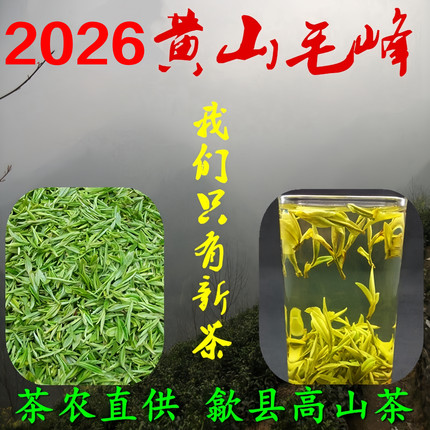 茶农直销 2026新茶叶黄山毛峰 明前特级绿茶250g 安徽歙县高山茶