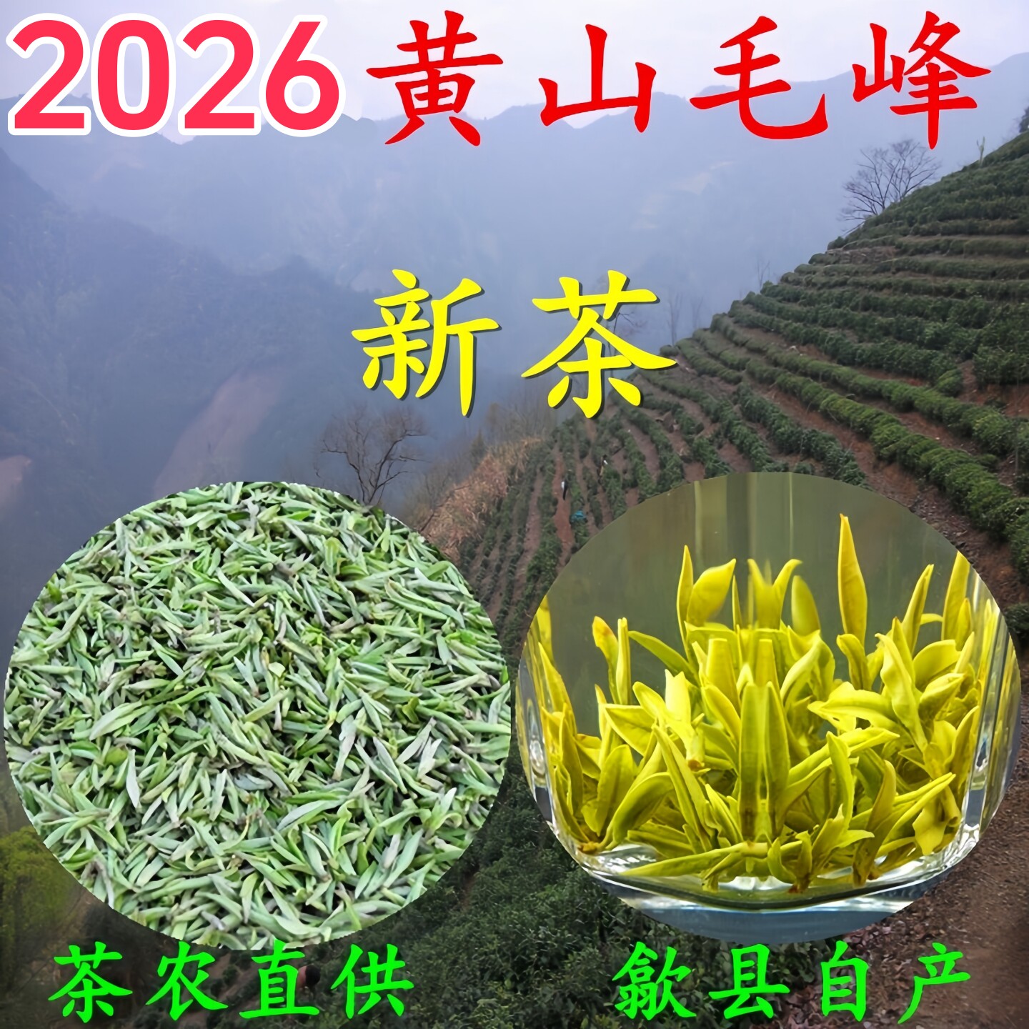 茶农直供 2026安徽高山明前头采黄山毛峰 特级绿茶开园土种新茶叶 - 实物图