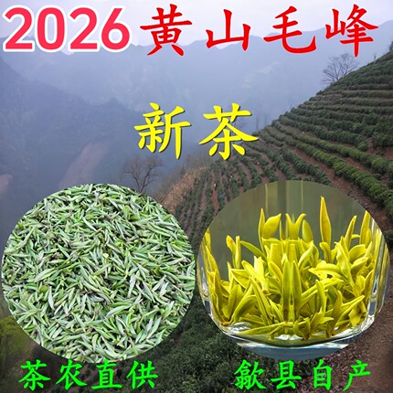 茶农直供 2026安徽高山明前头采黄山毛峰 特级绿茶开园土种新茶叶