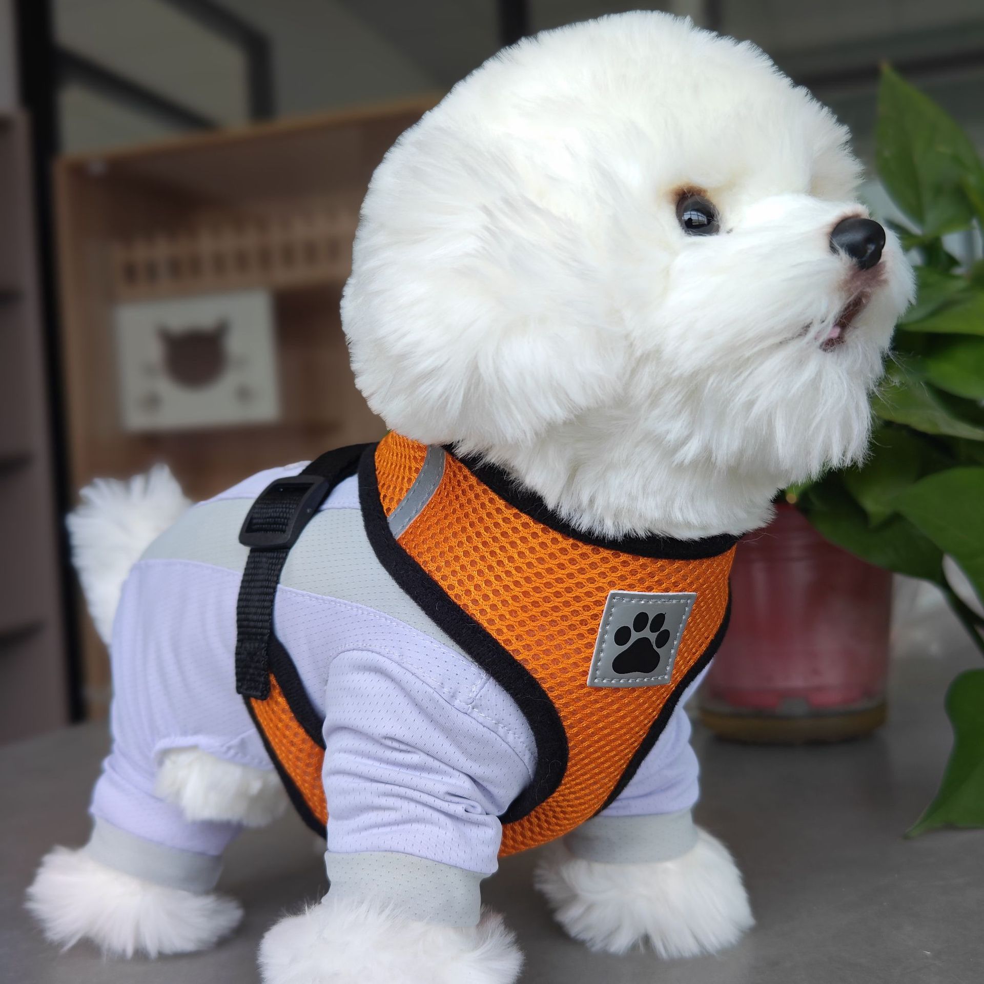 透气网眼胸背带小型犬狗绳牵引绳宠物胸背带可调节式狗狗背带背心