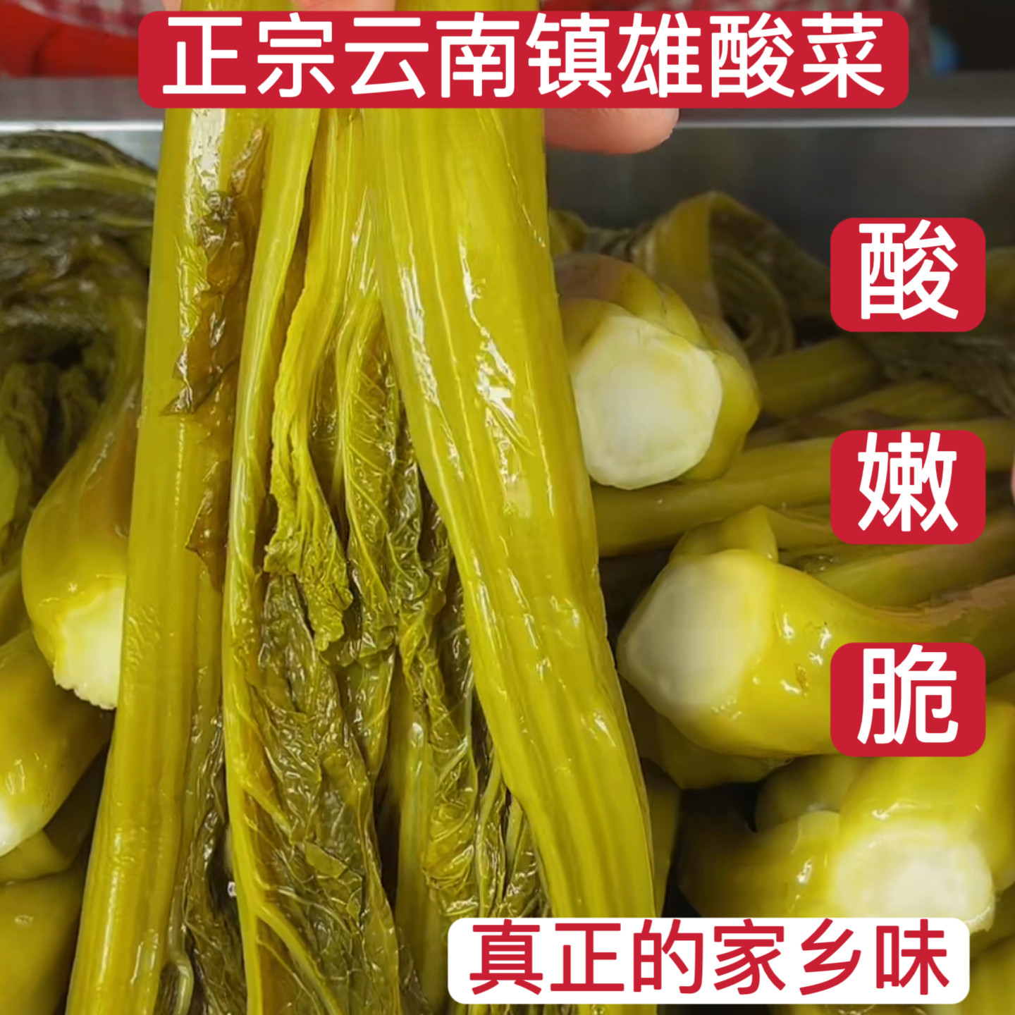 云南特产腌酸菜正宗袋装老坛酸菜脆嫩手工大缸腌制食用酸菜鱼家用