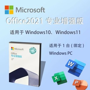 正版Office2021专业版增强版办公软件u盘永久中文繁体英文retail