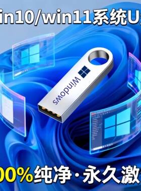 电脑系统U盘win10专业版纯净win11装机一键重装win7一键安装u盘