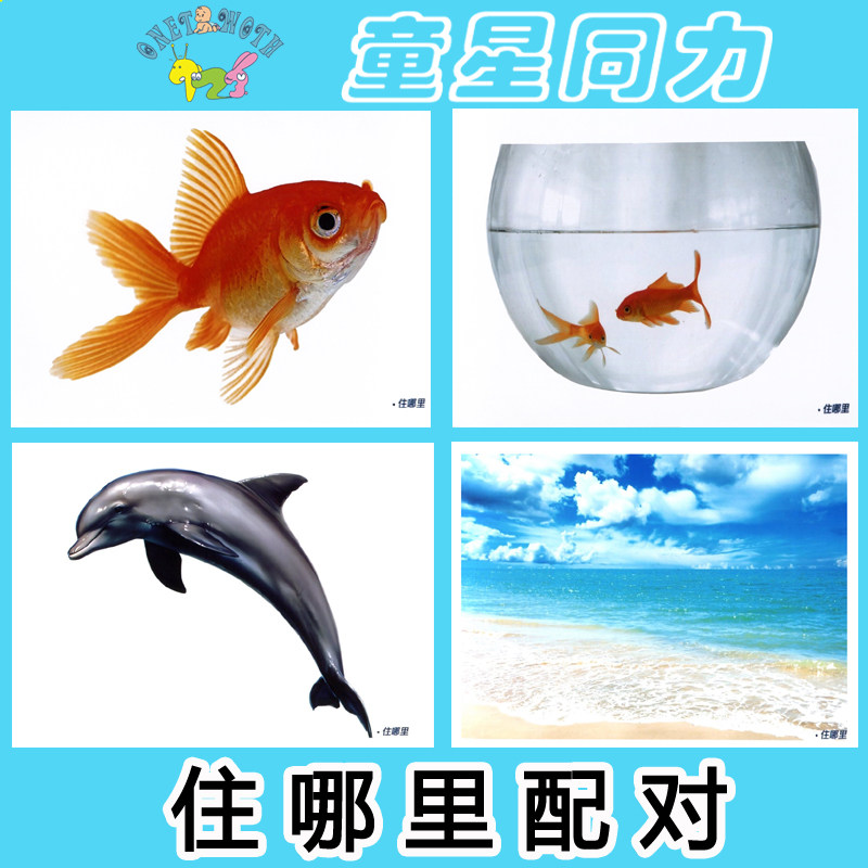 发育迟缓语言康复训练教材卡片