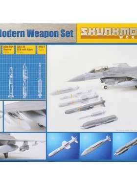 现货 Skunk Model 1/48 美軍/北約通用武器組 (SW48006) 组装模型