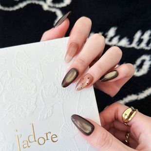 秋冬美拉德高级猫眼 纯手工穿戴甲2025中长款 AuraNail 秋日私语