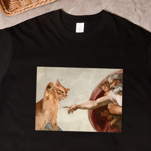 为啥猫猫不能上天堂 趣味梗图猫meme印花t恤短袖纯棉搞笑衣服抽象