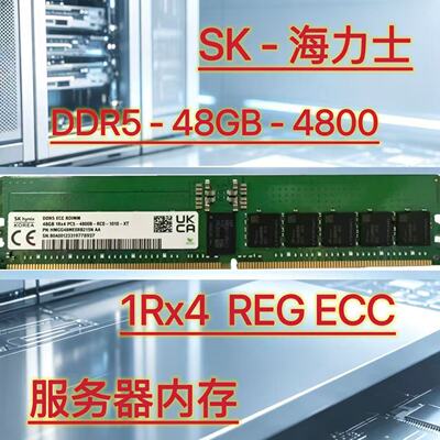 海力士DDR548GB4800服务器内存