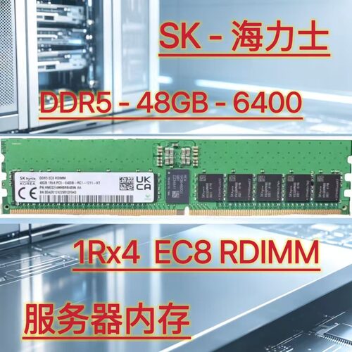 海力士DDR548GB6400服务器内存