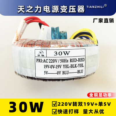 30w环形变压器 纯铜隔离配件牛 HIFI音响220V转双19V5V电压可定制