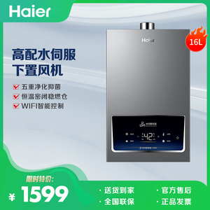 Haier/海尔 JSQ31-16FA03FXPCU1 家用天然气16升恒温燃气热水器