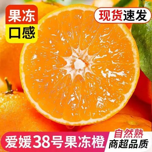 正宗爱媛果冻橙现摘新鲜水果薄皮橙当季橙子产地直发柑橘手剥橙