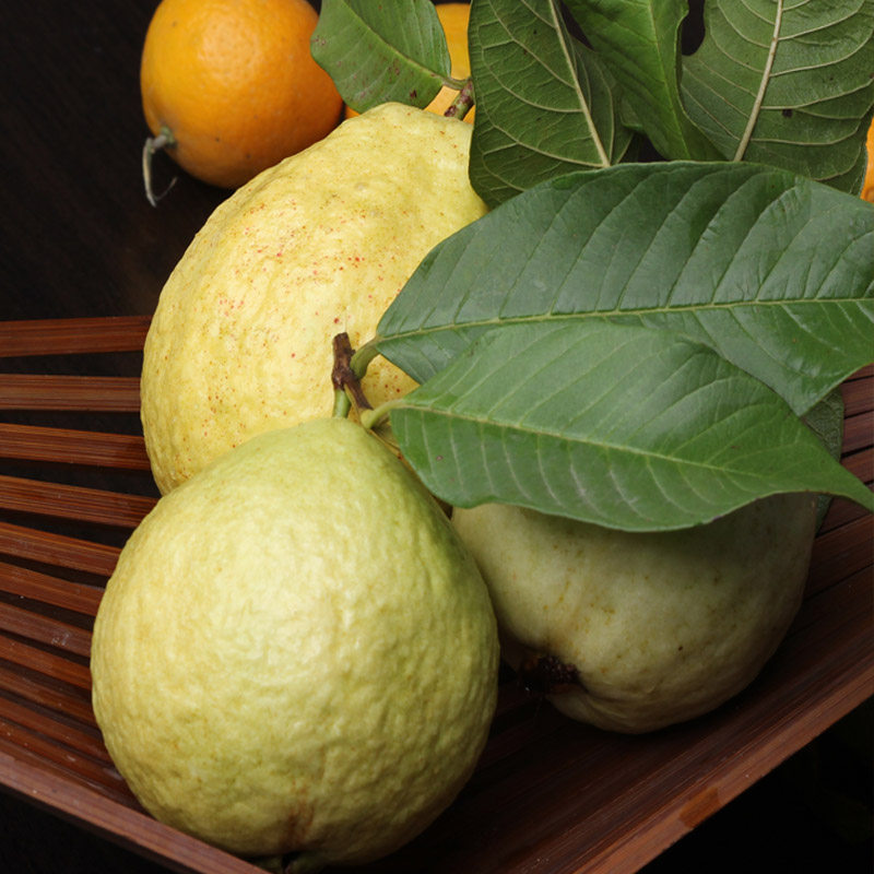 现摘广东万顷沙珍珠番石榴白心木仔脆甜南沙芭乐鸡果拔子花稔低糖