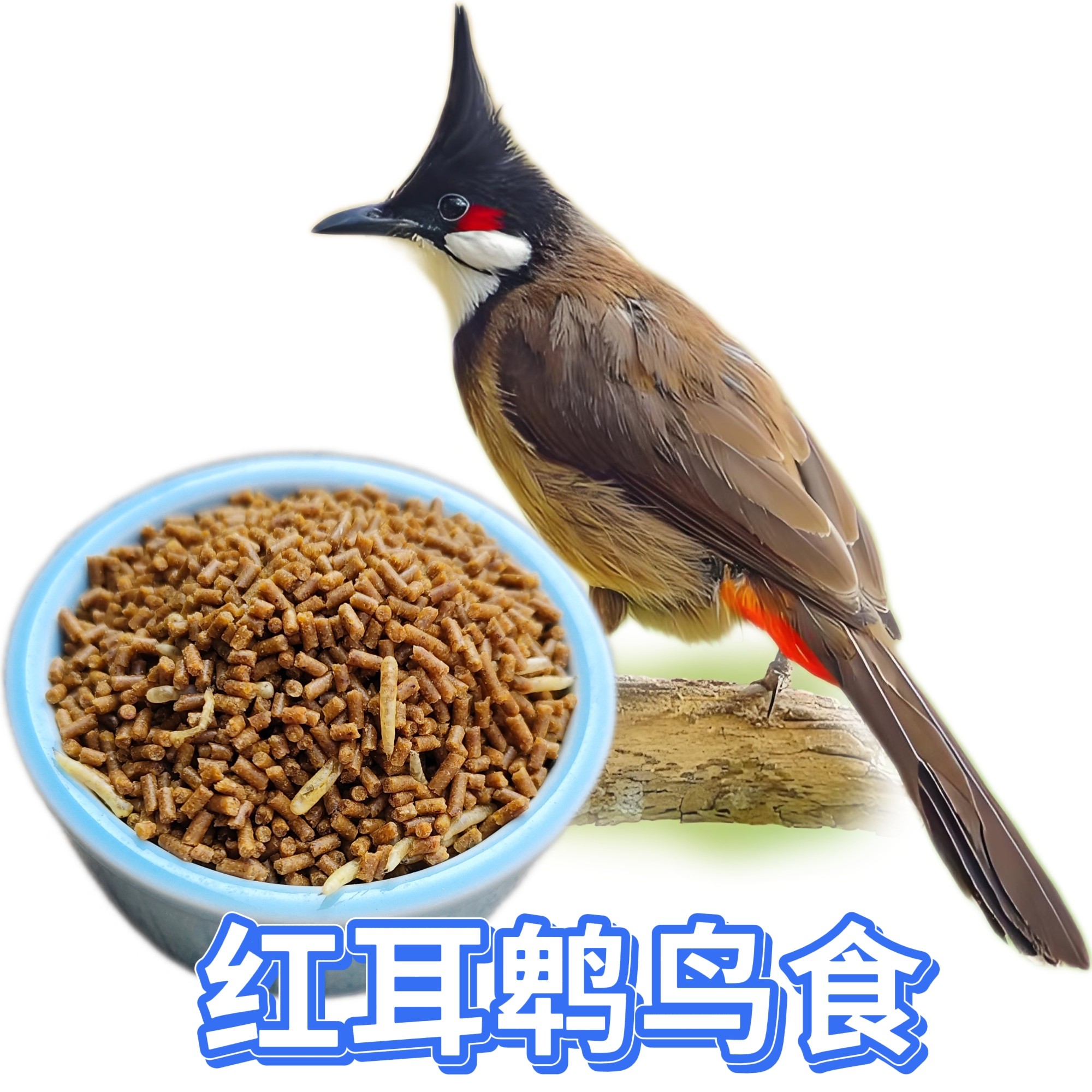 鑫羽航红耳鹎益生菌靓羽鸟粮