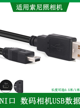 适用于 索尼摄像机HDR-SR1E SR10E SR11E SR12E SR87E数据线XR100