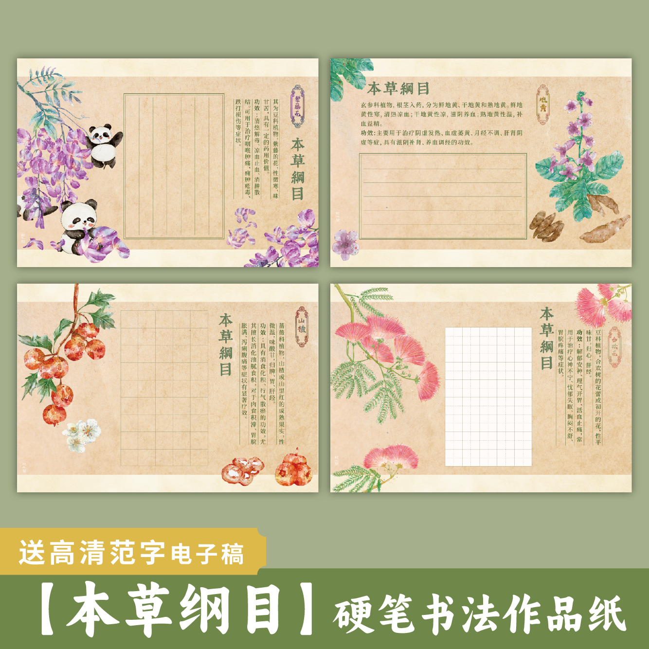 懿心阁本草纲目硬笔书法作品纸书法纸小学生田字格方格练字专用纸
