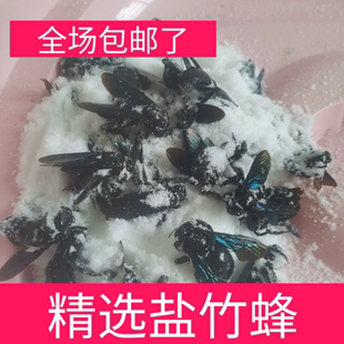 100只野生活腌盐竹蜂干整只盐咸竹筒蜂乌竹蜂熊蜂象蜂中药材泡酒