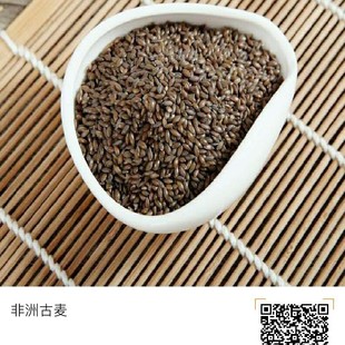 非洲古麦总黄酮富硒总黄酮叶酸锌米基地直供北纬38度直供力金500g