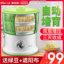 小熊豆芽机家用全自动 多功能双层大容量发豆芽机 生豆苗 菜苗机