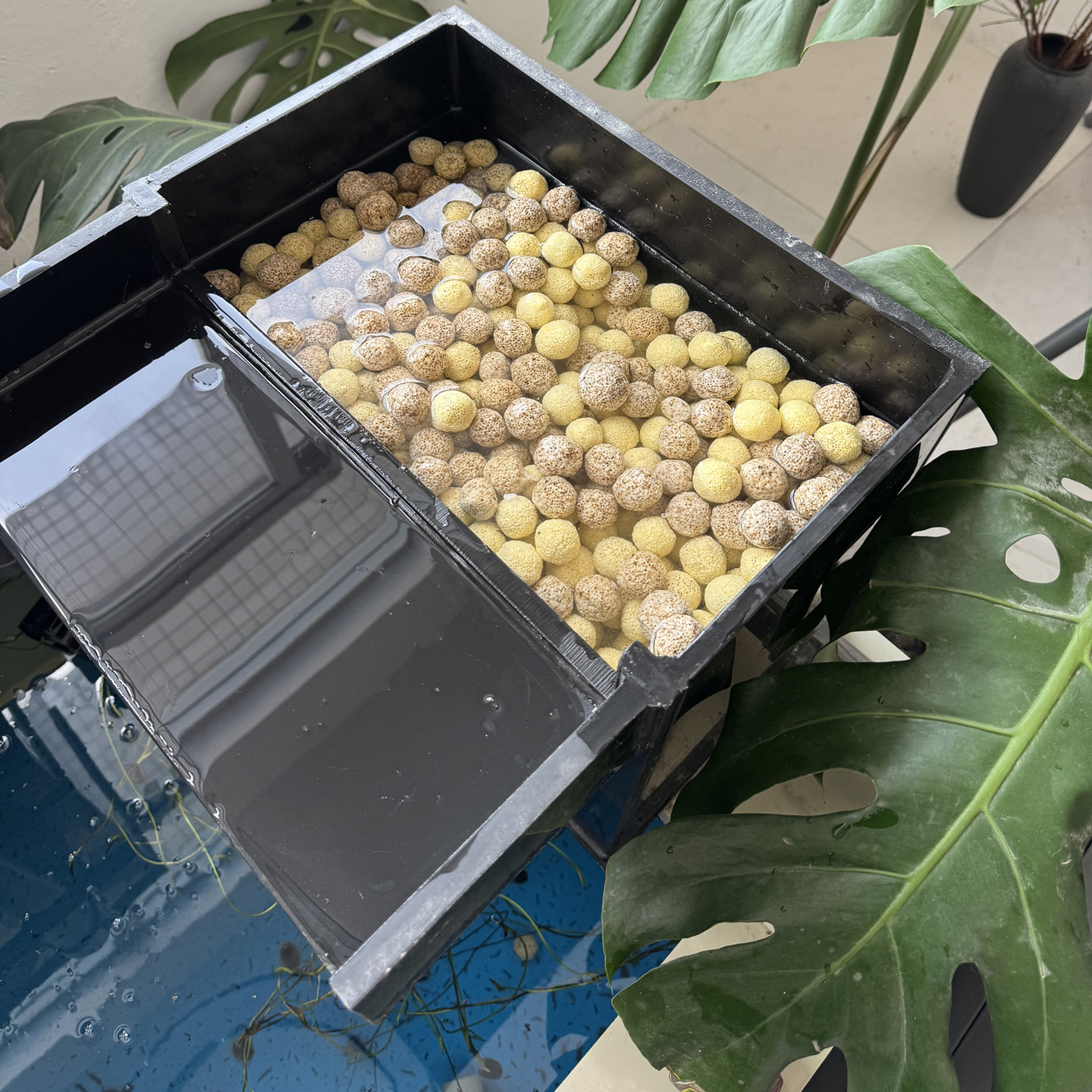 边都友鱼缸过滤材料硝化净化水质细菌球多孔培菌便宜又好用过滤材