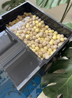 细菌球便宜又好用过滤材料