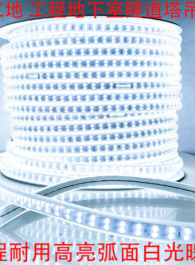 led灯带100米220V户外工程照明户外防水养殖塔吊工地地下室24V36V