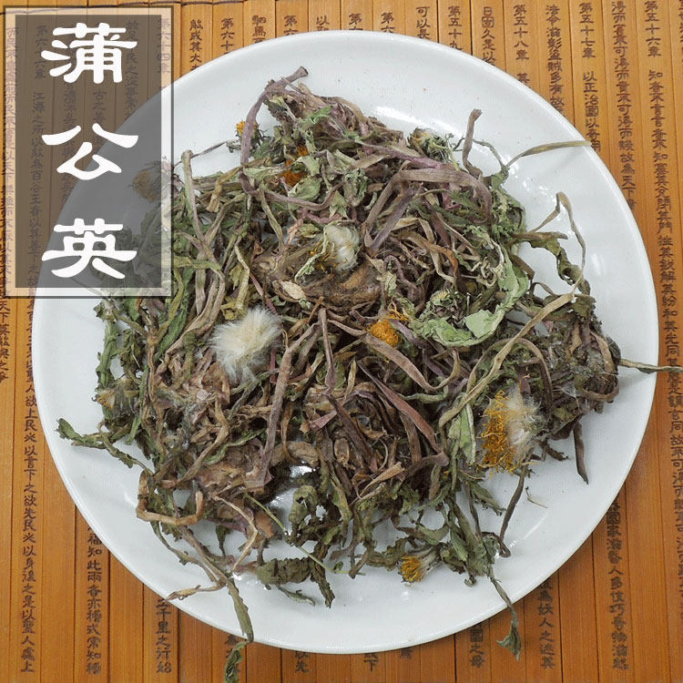 蒲公英野生整根蒲公英正品特级通乳腺女性蒲公英根新鲜浦公英干
