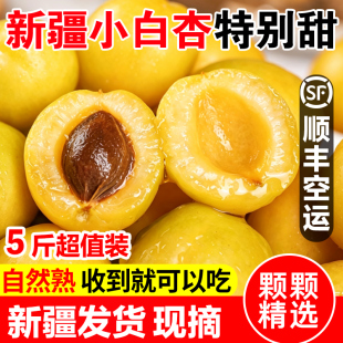 新疆小白杏轮台新鲜水果库车白杏子甜杏特产当季整箱胜小红杏顺丰