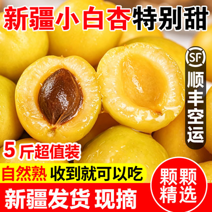 新疆小白杏轮台新鲜水果库车白杏子甜杏特产当季整箱胜小红杏顺丰