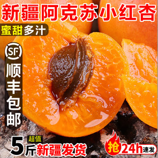 新疆小红杏当季吊干杏鲜杏哈密小黄杏蜜杏纯甜杏子新鲜水果小白杏