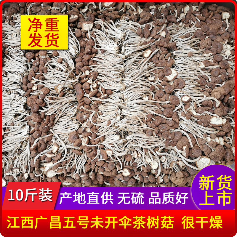 新货 茶树菇干货10斤装不开伞江西茶树菇广昌炖汤蘑菇茶薪菇干锅