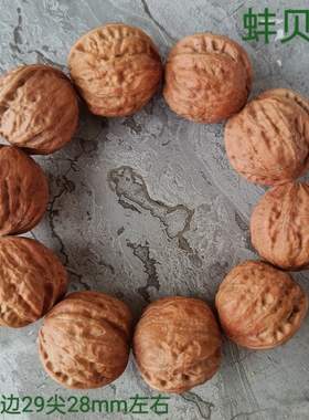 野生狮子头矮桩闷尖小核桃手串