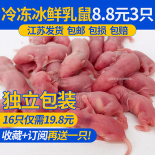 新鲜乳鼠冰冻红皮乳鼠喂猫蛇小白鼠跳跳大亚宠物无菌爬虫活饵饲料
