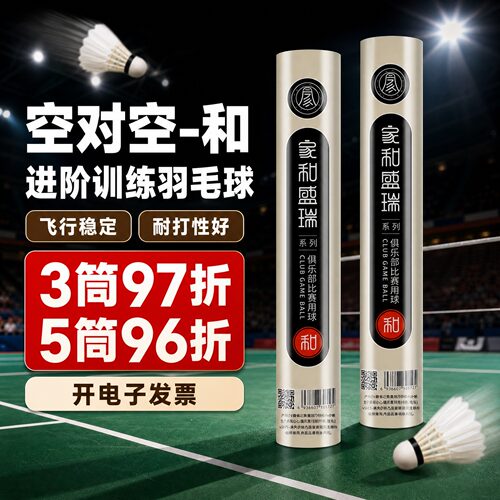 空对空羽毛球进阶羽毛球和