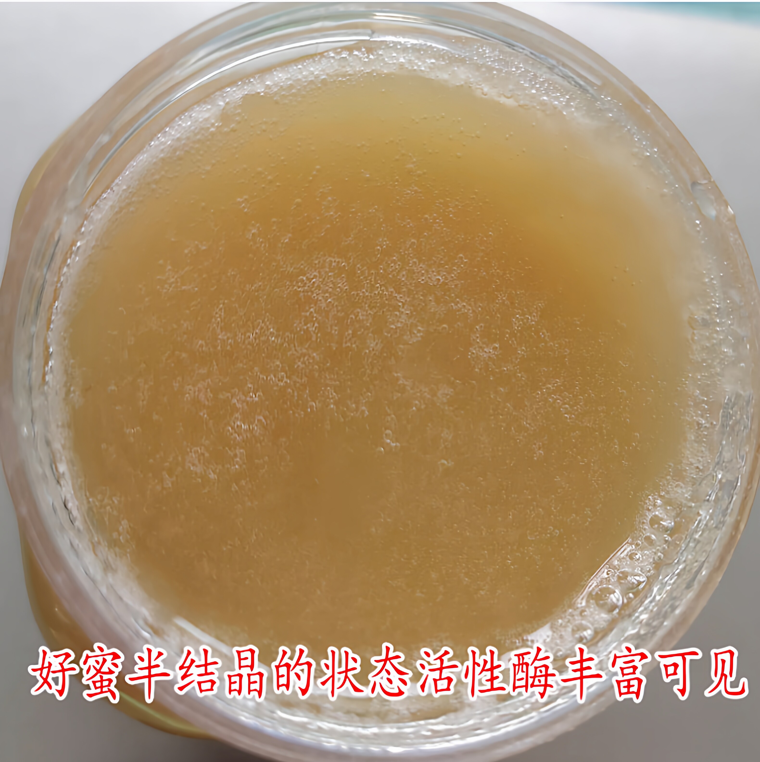 蜂蜜纯正天然野生土蜂蜜农家自产百花蜜正品木桶蜜成熟结晶蜂蜜蜜