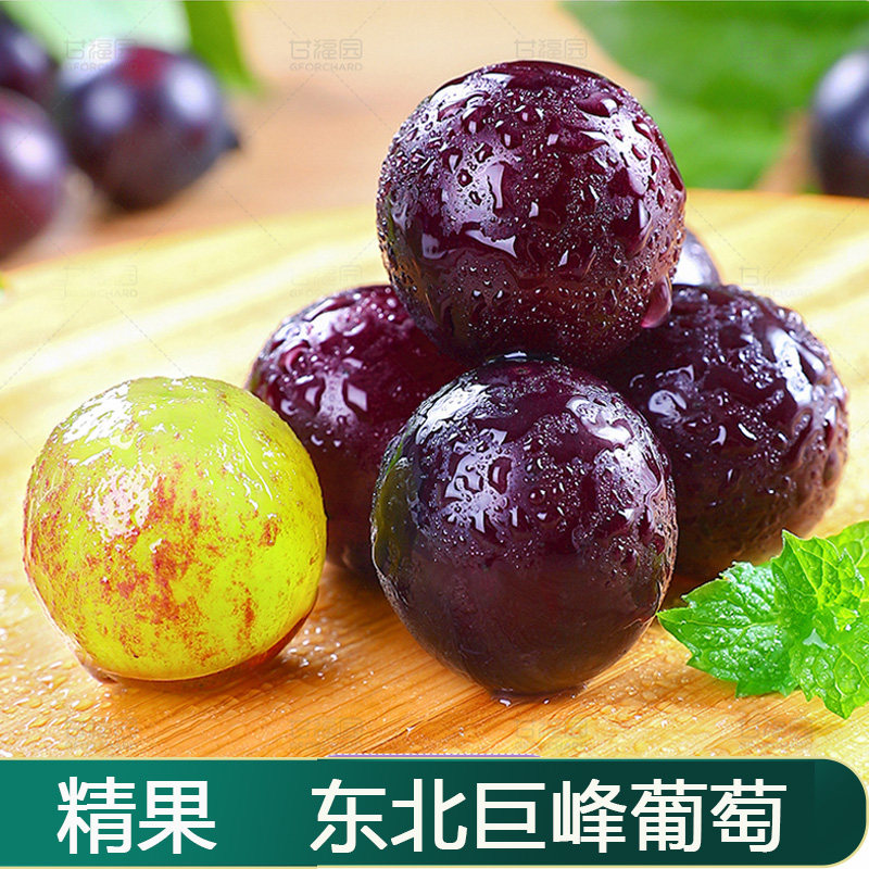 东北巨峰葡萄5斤带箱当季新鲜孕葡萄/提子