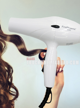 FirePhoenix火之凤电吹风机发廊专业静音8800S大功率冷热风筒家用