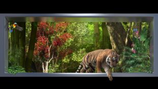 原创可调尺寸裸眼3d-01森林仰视恐龙老虎沉浸式LED显示屏视频素材