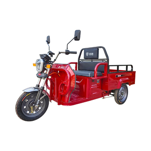 双胜货运电动三轮车-胜好