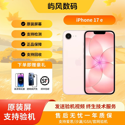 苹果iPhone17e支持全网通智能