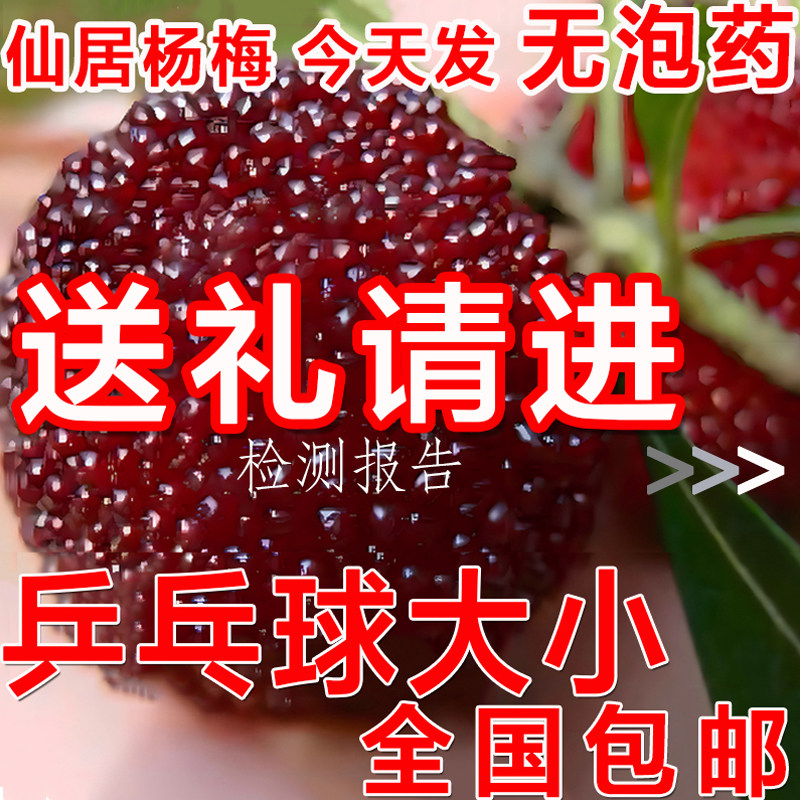 仙居杨梅鲜果新鲜杨梅现摘现发超甜大果送礼特大浙江仙居东魁杨梅