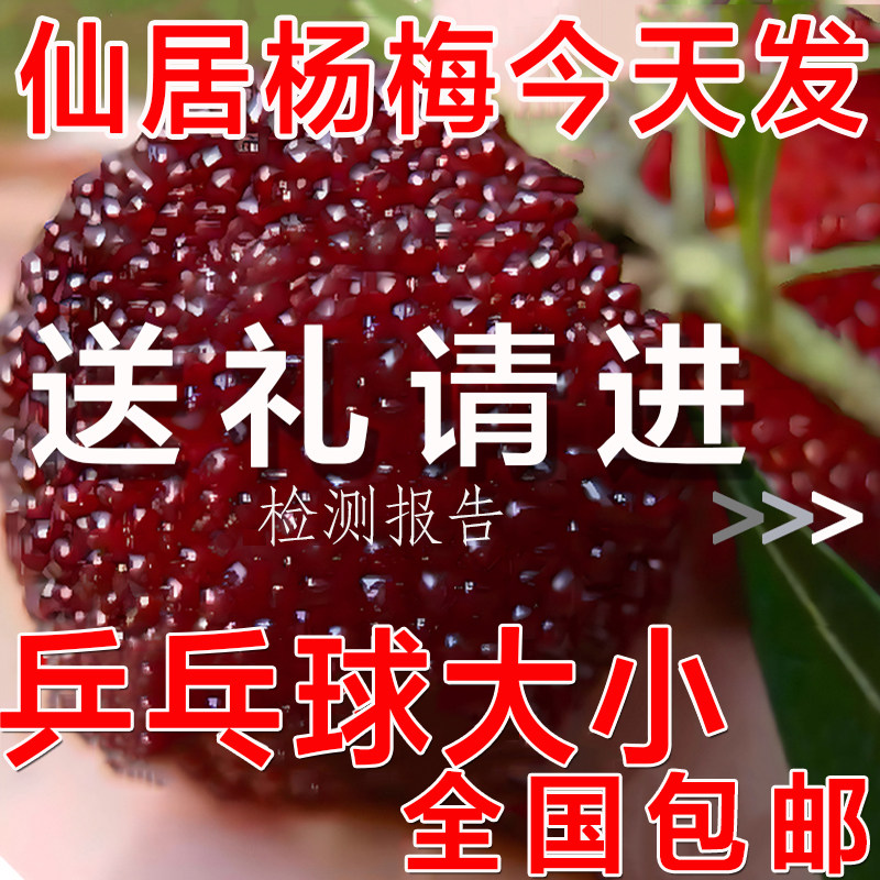 仙居杨梅鲜果新鲜杨梅现摘现发超甜大果送礼特大浙江仙居东魁杨梅