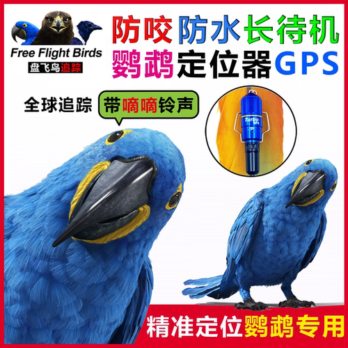 鹦鹉鸦科鸟用GPS追踪手机定位器