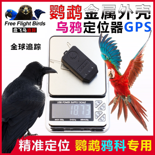 宠物鸟金刚鹦鹉渡鸦科GPS定位器