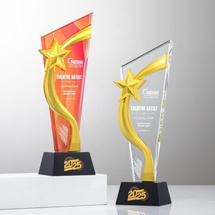 创意水晶奖杯定制金属奖牌团队新星高端大气年会颁奖优秀员工纪念