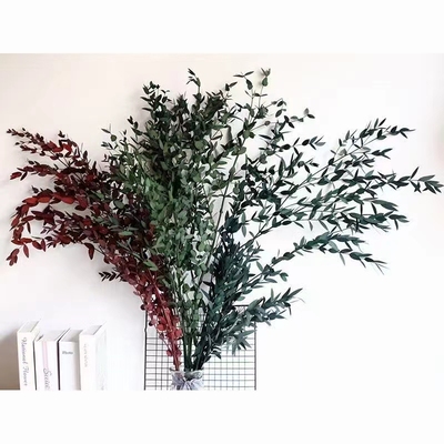 细叶吸色尤加利永生小花束