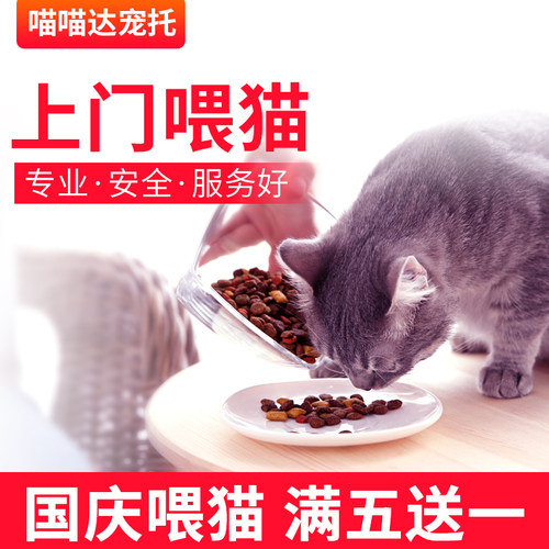 上门喂猫北京同城喂养猫咪宠物春节出差旅游铲屎节日代喂寄养托管