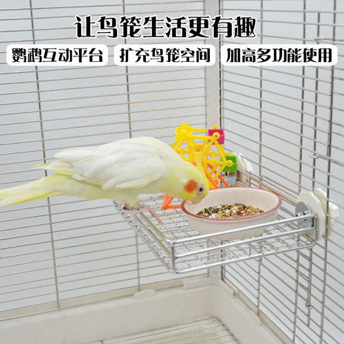 不止是鸟笼平台的鹦鹉多功能站网