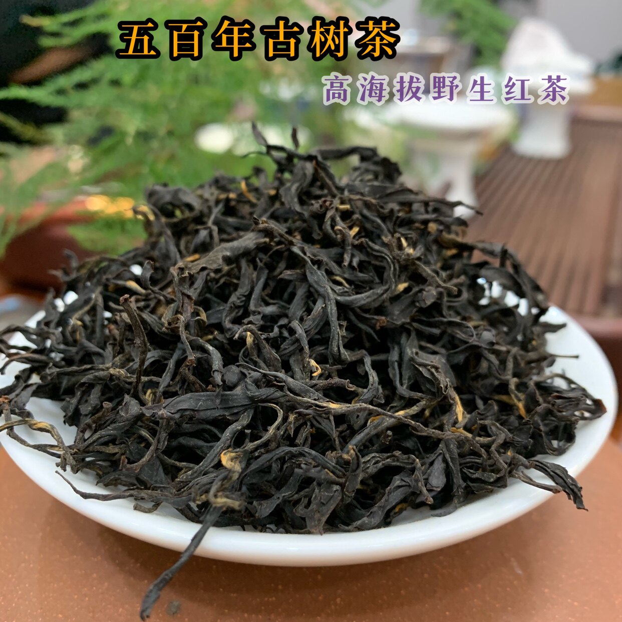 高海拨野生古树红茶 800年古茶树制作 香气味儿迷人好茶500克